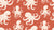 Cresting Wave Coral octopus wallpaper in coral and cream