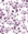 Desert Bloom Plum botanical vine wallpaper in plum and white