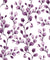 Desert Bloom Plum botanical vine wallpaper in plum and white