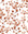 Desert Bloom Terracotta botanical vine wallpaper in terracotta and white