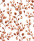 Desert Bloom Terracotta botanical vine wallpaper in terracotta and white