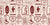 Desert Charms Oxblood western icon wallpaper in oxblood and blush