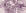 Desert Frond Plum palm frond wallpaper in plum and blush