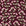 Evening Garden Oxblood botanical floral wallpaper in oxblood and blush