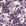 Frost Garden Veil Plum floral wallpaper in plum and pearl