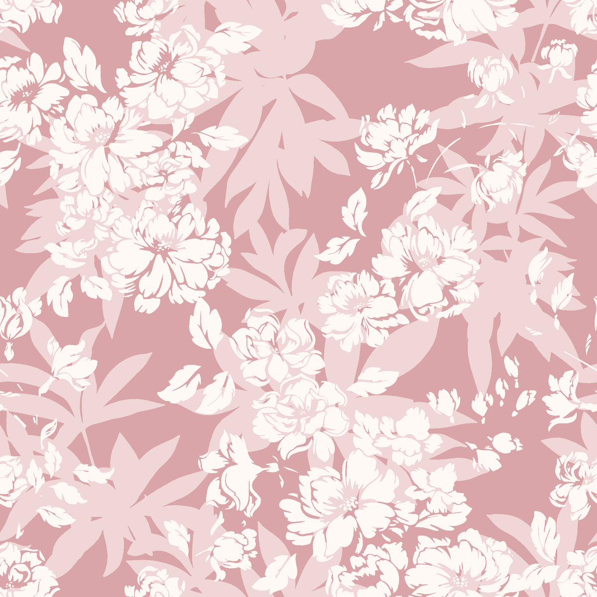 Frost Garden Veil Rose floral wallpaper in rose and cream