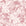 Frost Garden Veil Rose floral wallpaper in rose and cream