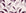 Hatched Frond Plum hatched frond wallpaper in plum and blush