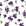 Hidden Garden Aubergine floral wallpaper in aubergine and lilac