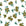 Hidden Garden Emerald floral wallpaper in emerald and gold
