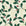 Ink & Oak Evergreen oak leaf and berry wallpaper in evergreen and burgundy