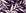 Ink Thicket Aubergine bold leaf wallpaper in aubergine and blush