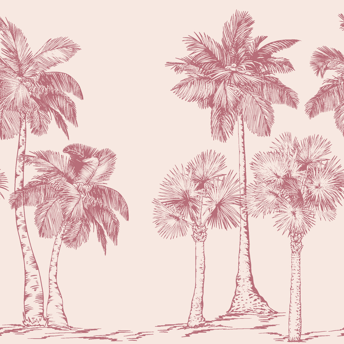 Palm Shade Rose palm grove wallpaper in rose and blush