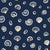 Sketched Seashells Midnight seashell wallpaper in midnight and ivory