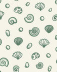 Sketched Seashells Sage seashell wallpaper in sage and cream
