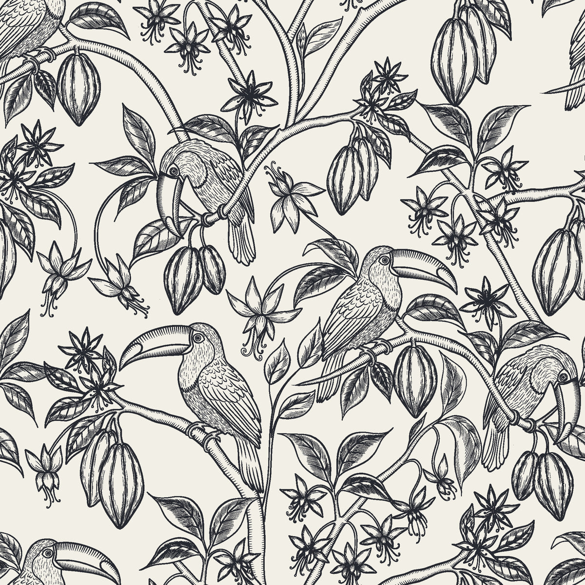 Toucan Toile Ink tropical bird wallpaper in black and ivory