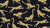 Wild Stride Noir cheetah wallpaper in black and gold