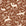 Woodland Hush Rust woodland animal wallpaper in rust and cream