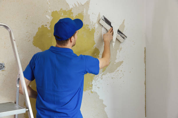 professional wallpaper installation and removal services San Jose