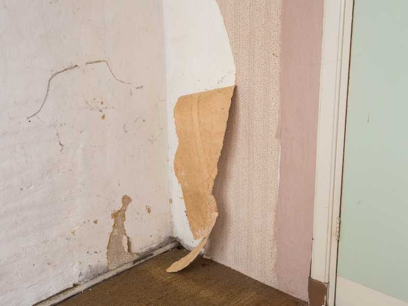 what-is-the-best-wallpaper-removal-solution-8